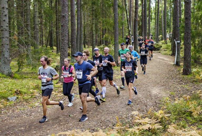 En stor grupp löpare i ett grönområde.