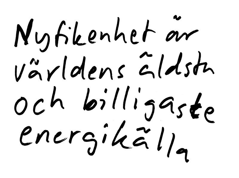 Bob Hund Nyfikenhet