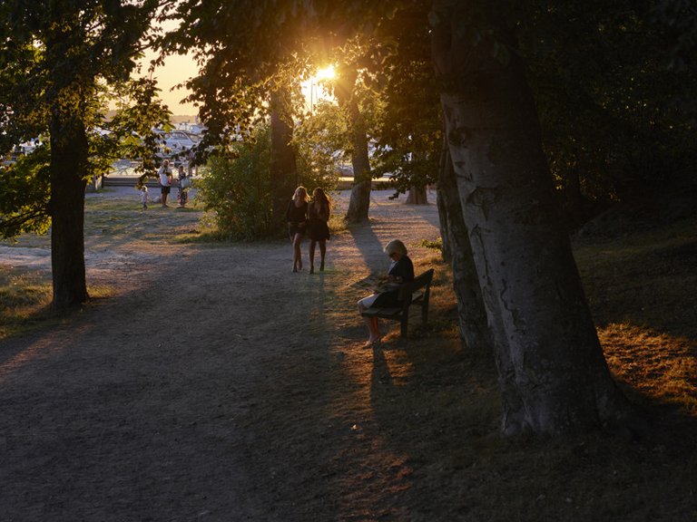 Djurgården at sunset