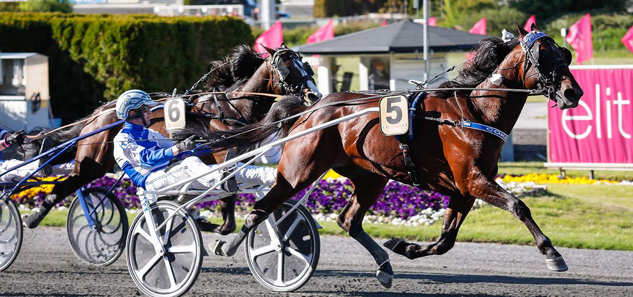 Elitloppet Visit Stockholm