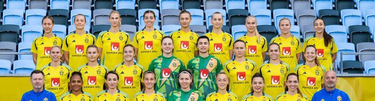 Sveriges damlandslag i fotboll.