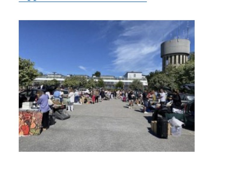 Bakluckeloppis i Södertälje Visit Stockholm