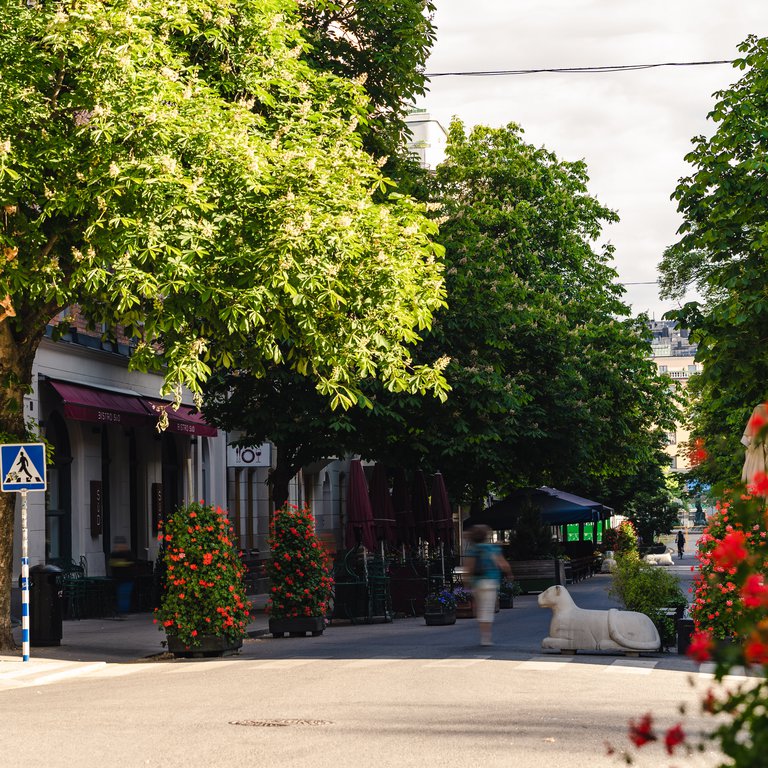 Sommar i Stockholm. Swedenborgsgatan, på Södermalm, en tidig sommarmorgon.