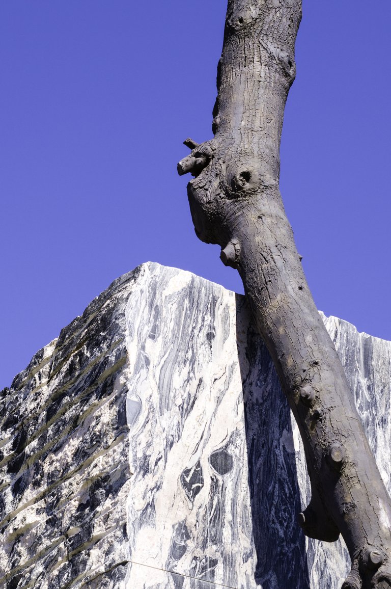 skulptur av ett träd