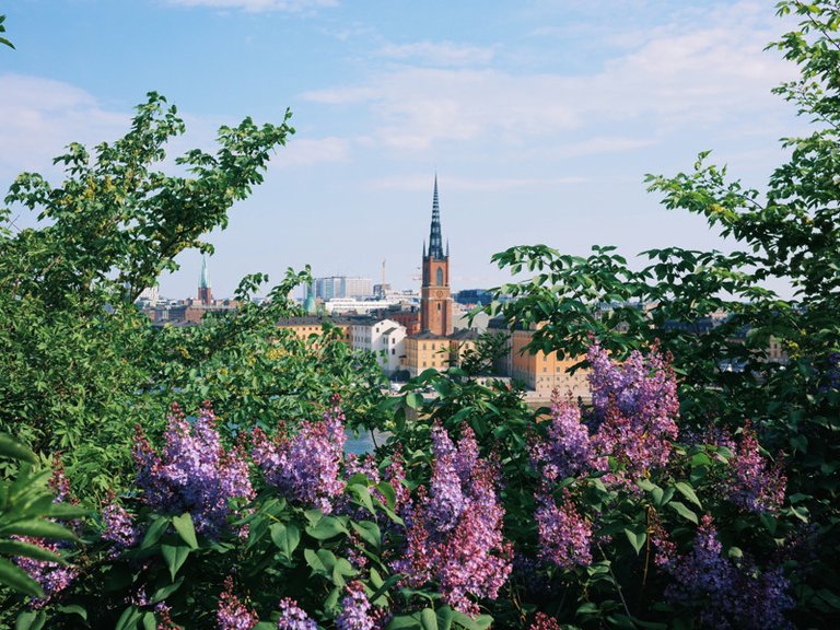 Summer in Stockholm, view from Monteliusvägen in the city's central Södermalm district