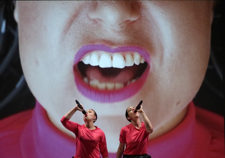 VOICE-NOISE-©Sisterloops.jpg