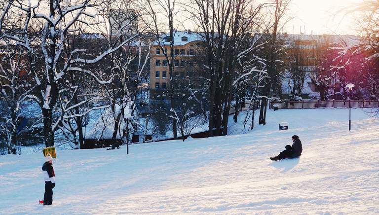 En solig vinterdag med pulkaåkning i Vitabergsparken i Stockholm