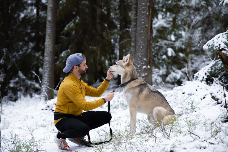En man tar en löptur med sin hund i skogen. Det är snö ute.