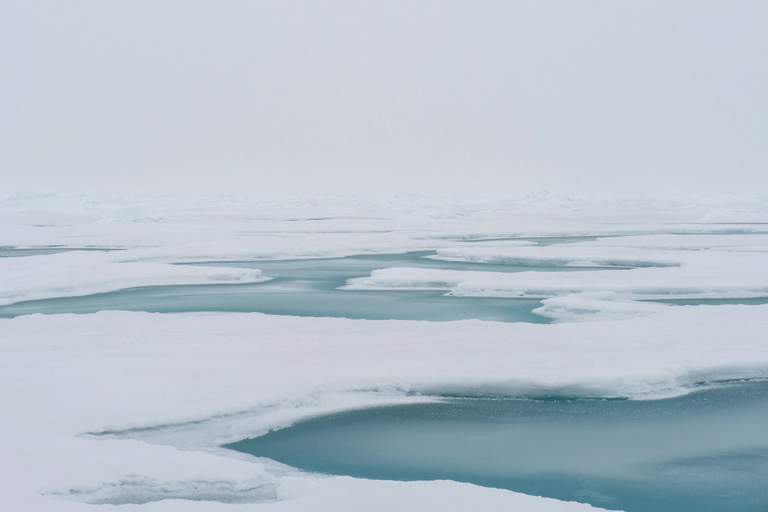 Havet täckt med is och snö.