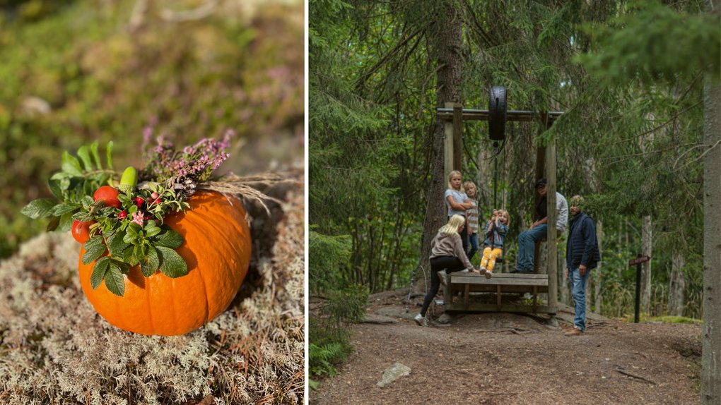 Autumn Break at Siggesta Gård