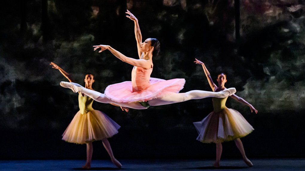 le-corsaire-2023[1].jpg