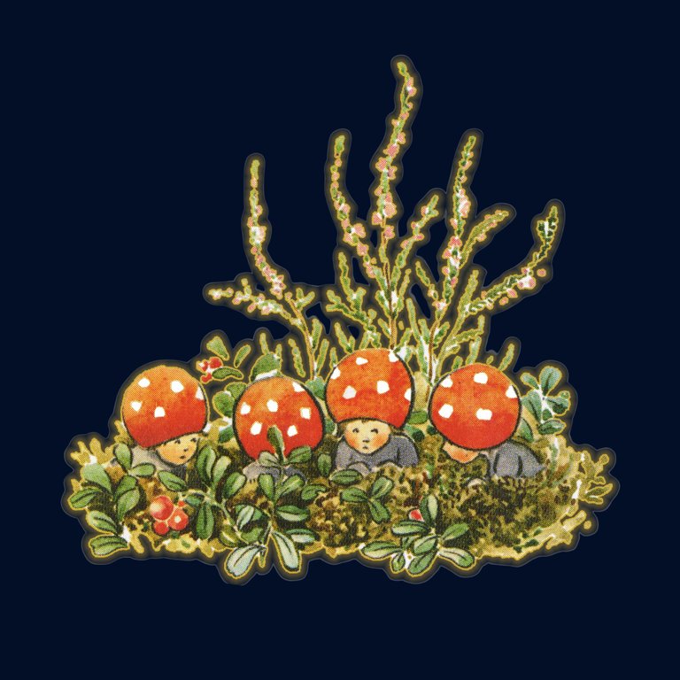 TBB Hemsida.png