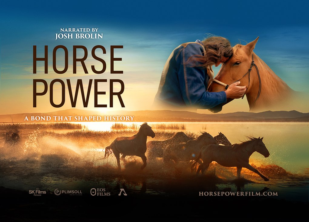 Horse Power (2).jpg