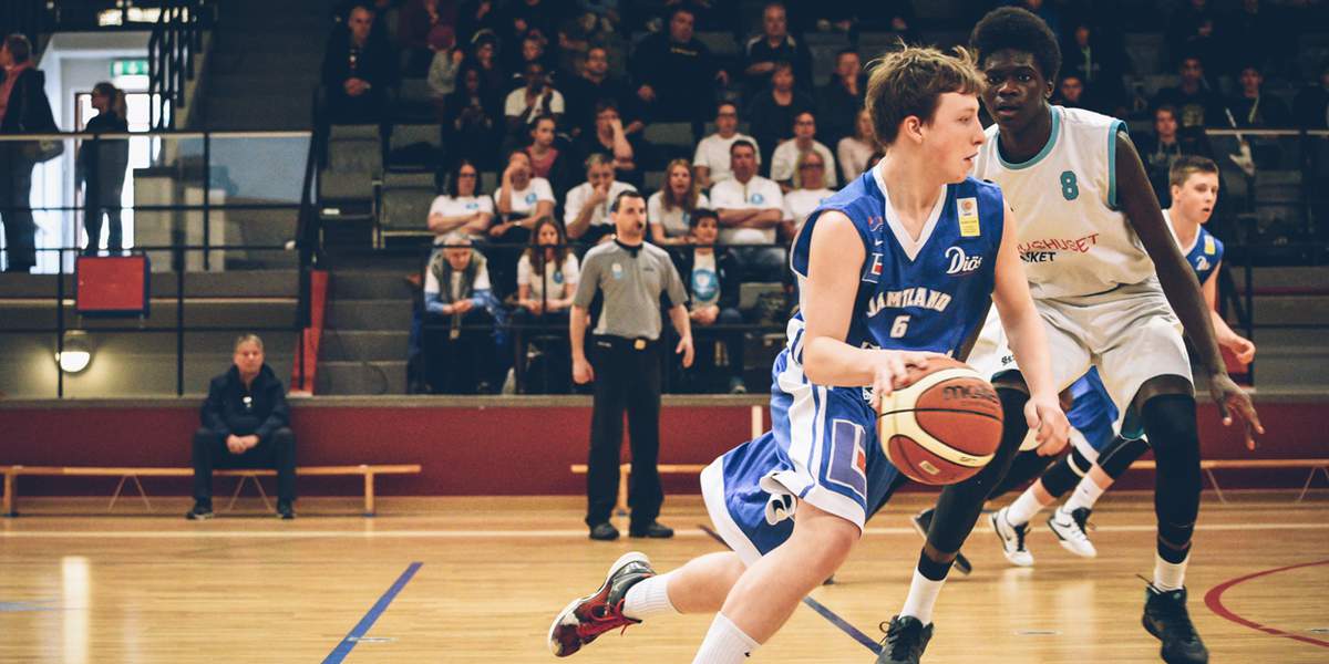 Basket Visit Stockholm