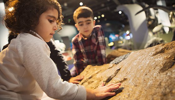 Barn som vidrör fossilerade dinosauriespår