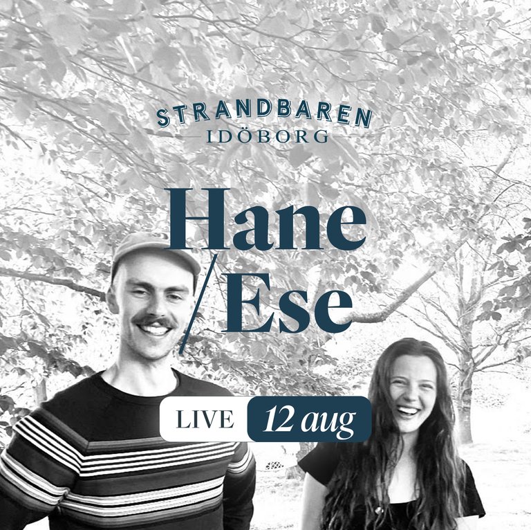 Duon Hans/Ese Live on Idöborg