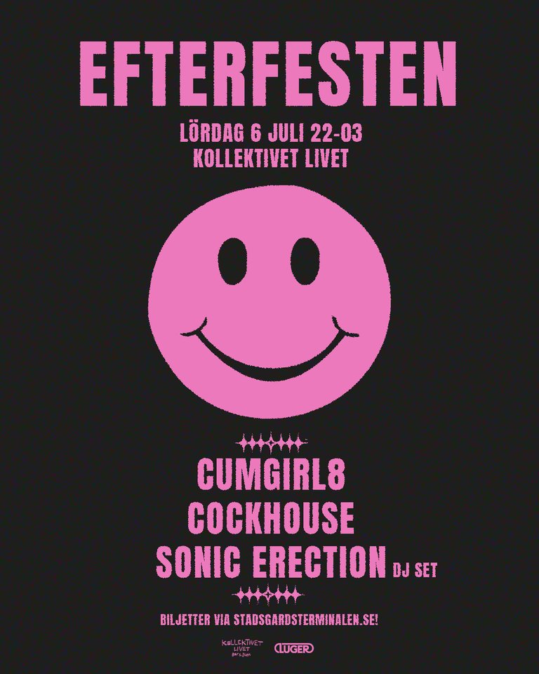 Efterfesten - Kollektivet Livet (1).jpg