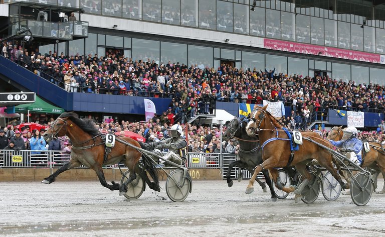 Tangen Haap Press Image