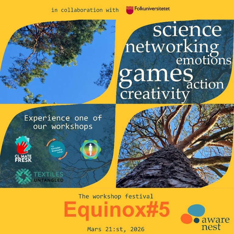 EQUINOX#5 sustainability festival