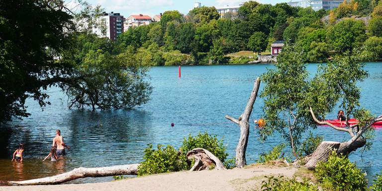 Parker i Stockholm. Sommar. Människor badar I vattnet utanför Långholmen. Solen skiner och det är en vacker dag. Södermalm syns på andra sidan vattnet.