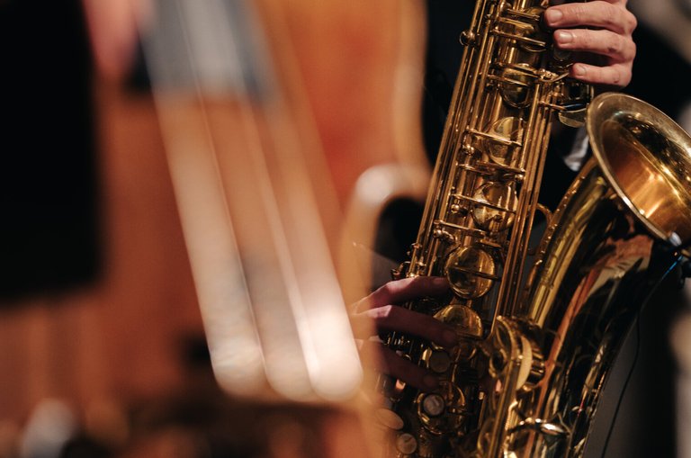 Guided tour and jazz