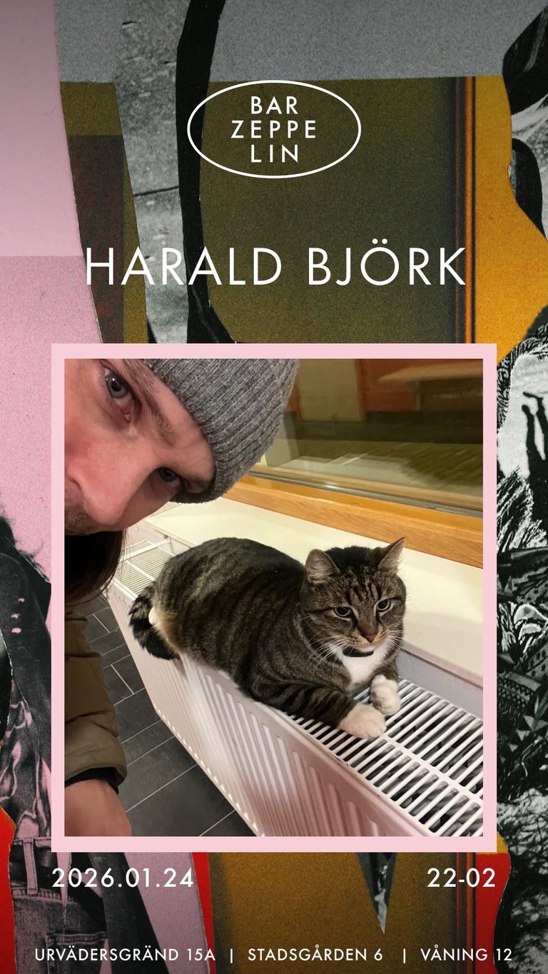 Harald Björk @ Bar Zeppelin