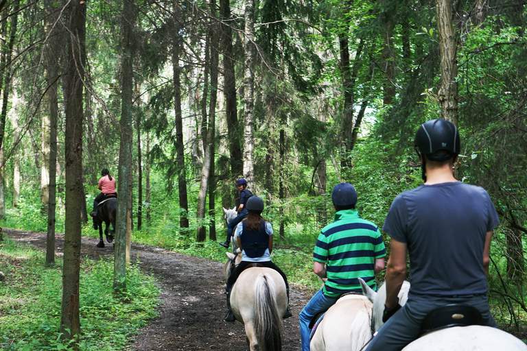 Hästridning i Stockholm. En grupp med människor är på guidad hästtur i Stockholms skogar.