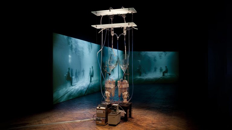 Helen Pynor's Borderlands – Life, Death and Existence