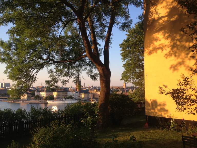 En park med en fin utsikt över staden.