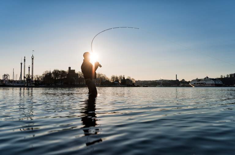 Aktiviteter i Stockholm. Siluetten av en man som fiskar vi Djurgården. I bakgrunden syns Gröna Lunds tivoli.