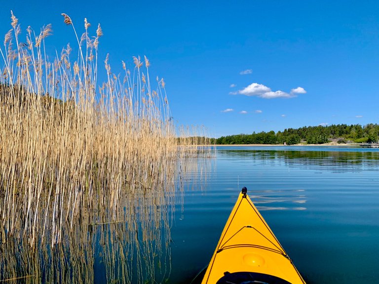 Archipelago Kayaking 9.jpg
