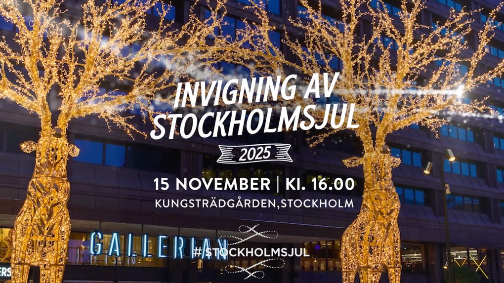 Stockholmsjul invigning 2025.png