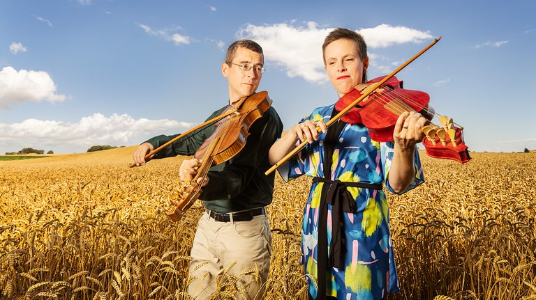 Lira da braccio – the forgotten instrument.