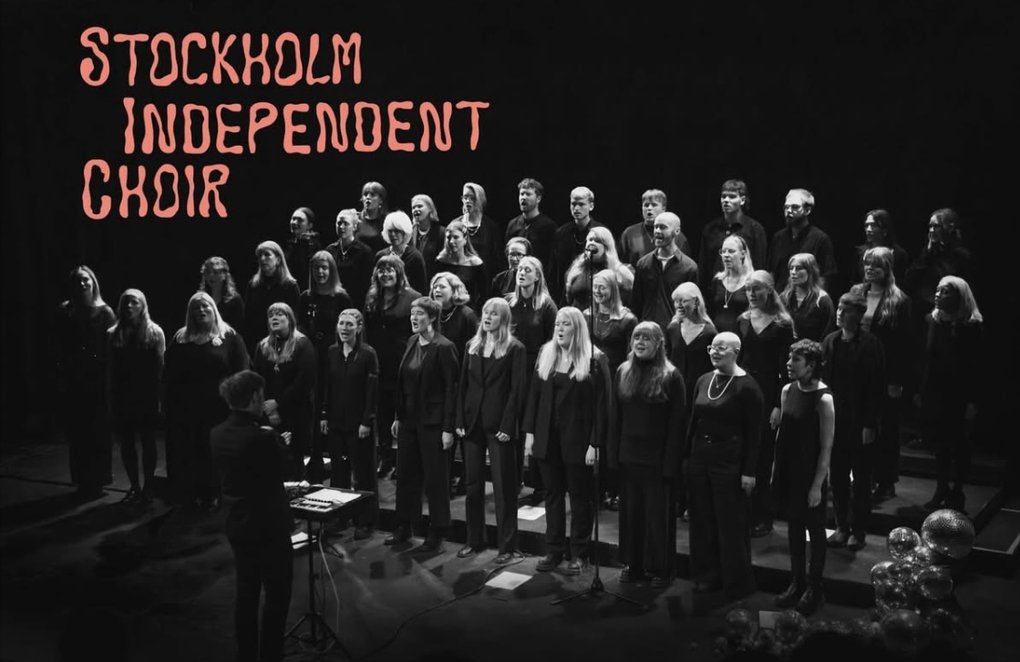 Luciaconcert with Stockholm independent choir at Kungsträdgården