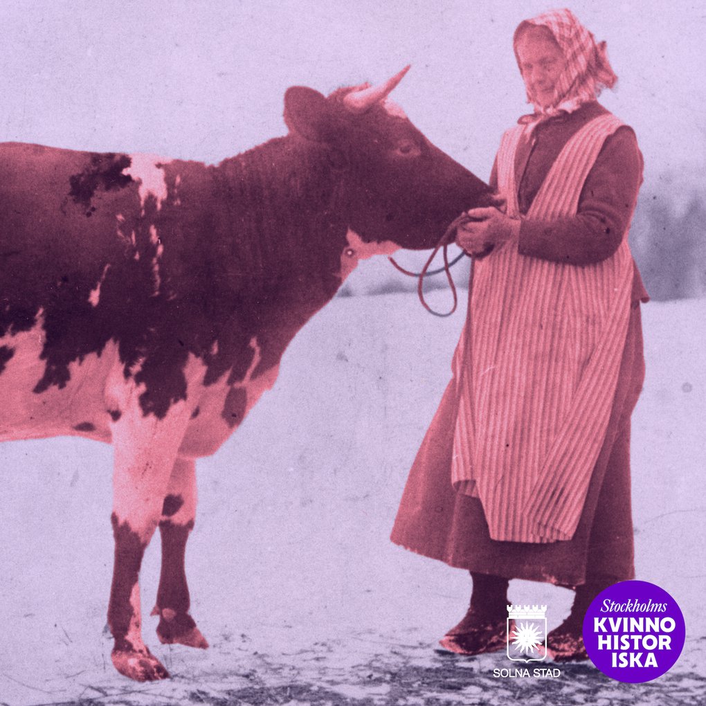 Milk, power and resistance – a women’s history tour at Överjärva Gård