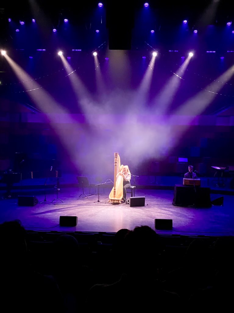 2024-12-20-Harpa- Ida Petri Kinner.jpg