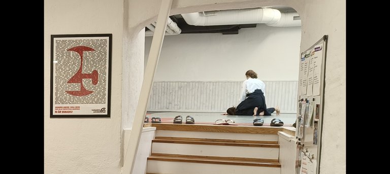 Vanadis Aikido.jpg