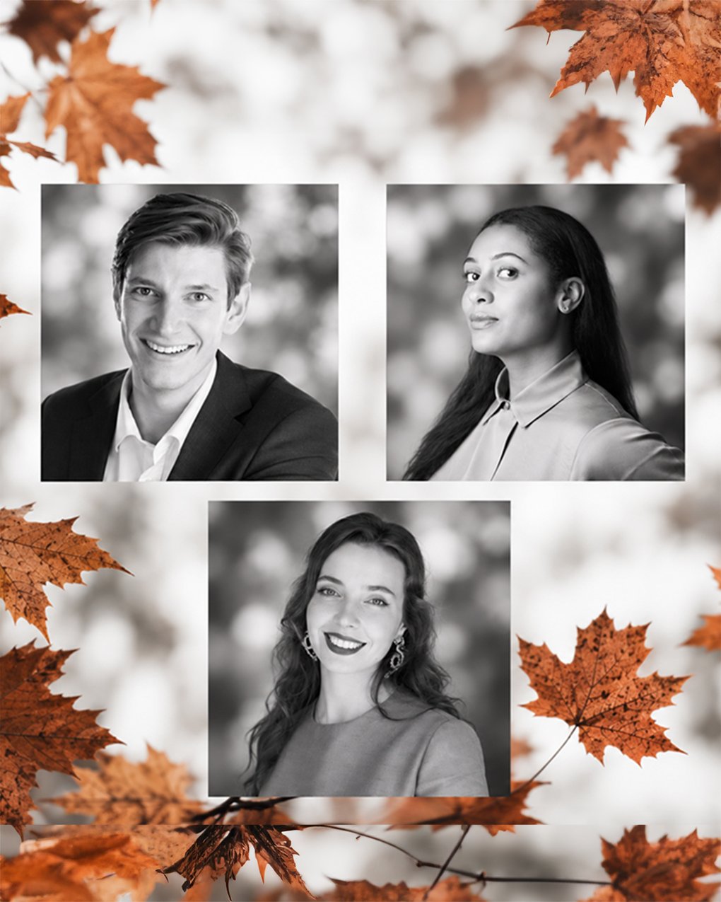 Open House with Opera Concerts during Autumn Market at Ulriksdal