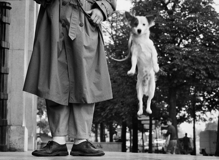 © Elliott Erwitt : Magnum Photos.jpeg