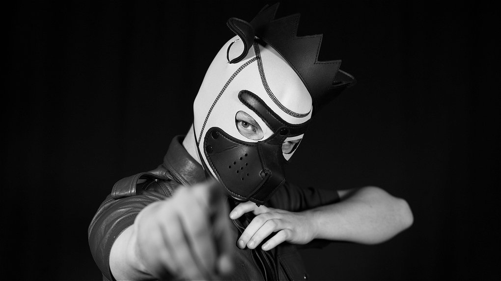 PUP PLAY photo by GUMBO.jpg