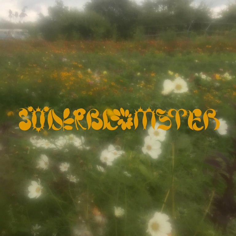 Söderblomster Festival