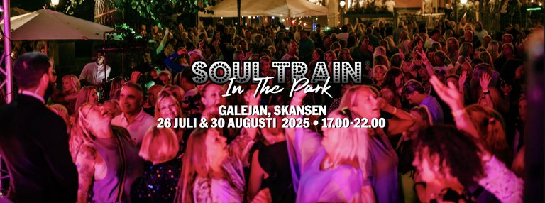 Soul Train in the Park
