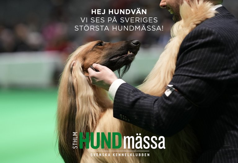 Stockholm Hundmässa