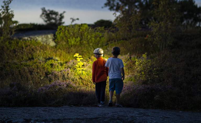 Nature i Stockholms skärgård. Två pojkar utforskar naturen med pannlampor under en sommarkväll.