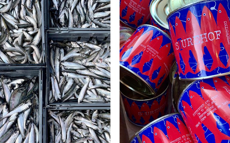 Surströmming.