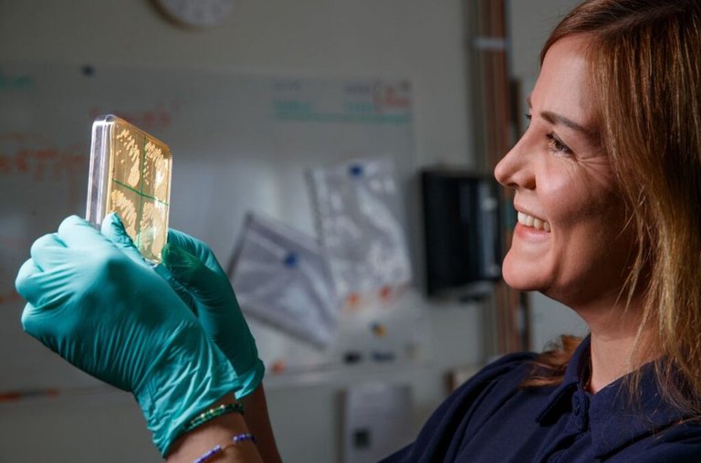 The chemistry of yeast – from Patagonia to local beer