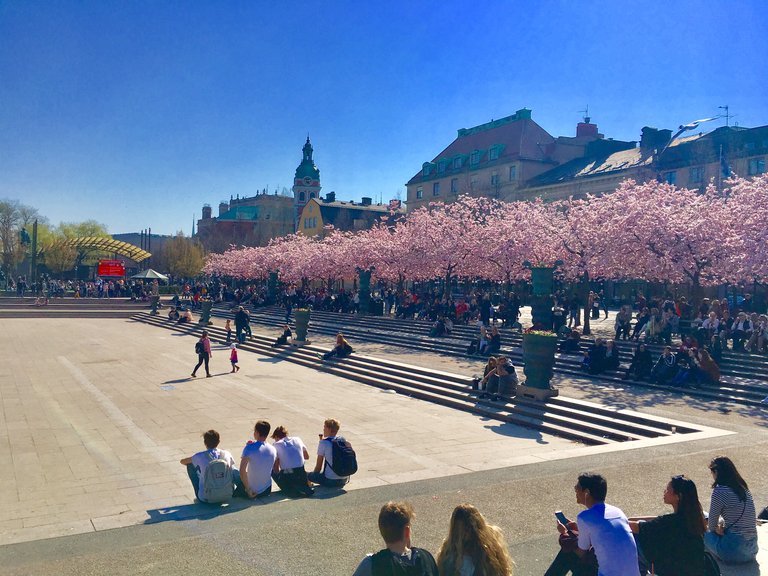 Kungsträdgården (1).JPG