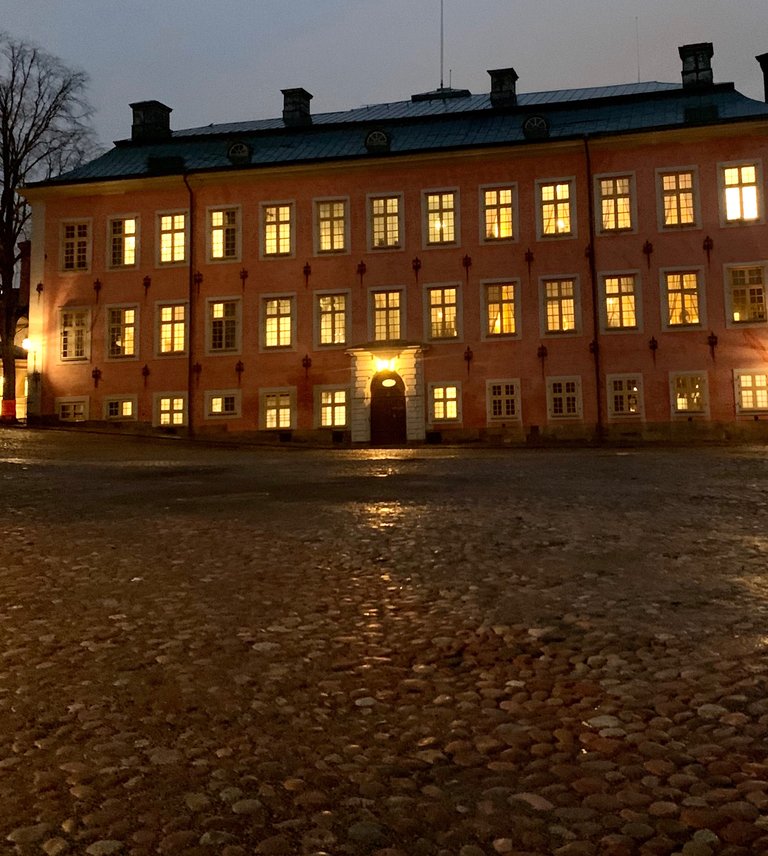Stenbockska palatset kväll.jpeg
