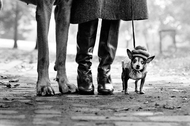 © Elliott Erwitt, Magnum Photos Large.png