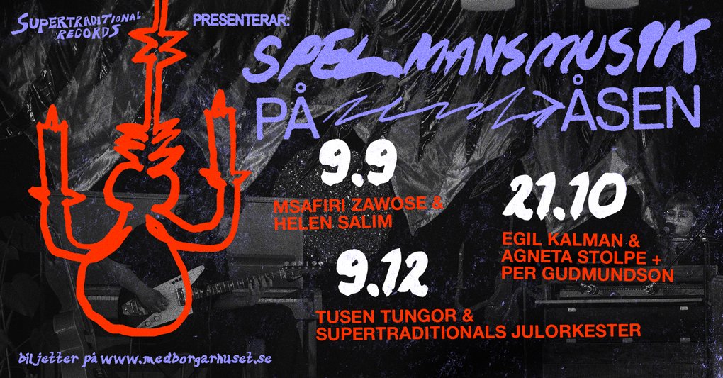 ✺ TRADITIONAL MUSIC AT ÅSEN! ✺